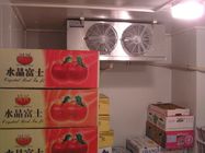 Мини тип воздушного охлаждения комнаты холодильных установок для замерзать плодов овоща