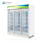 Замораживатель 3 дверей коммерчески дисплея замороженных продуктов чистосердечного стеклянный