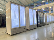 Frost - свободный стеклянный замораживатель дисплея мороженого &amp; замороженных продуктов двери вертикальный для гостиниц &amp; супермаркетов