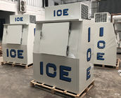 Merchandiser льда холодной стены на открытом воздухе, Cu 38. FT замораживатель сумки льда