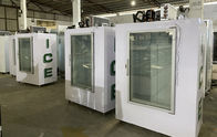замораживатель хранения одиночной стеклянной двери 220V 110V чистосердечный для положенного в мешки льда куба